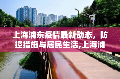 上海浦东疫情最新动态，防控措施与居民生活,上海浦东疫情最新消息