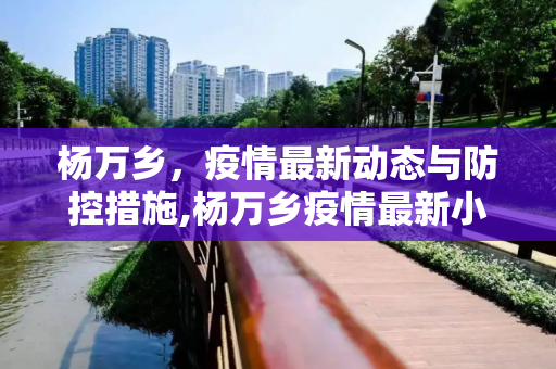 杨万乡，疫情最新动态与防控措施,杨万乡疫情最新小