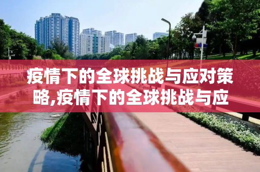 疫情下的全球挑战与应对策略,疫情下的全球挑战与应对策略
