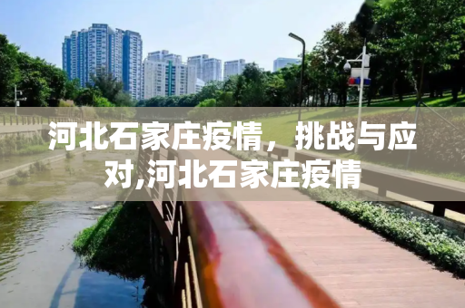 河北石家庄疫情，挑战与应对,河北石家庄疫情