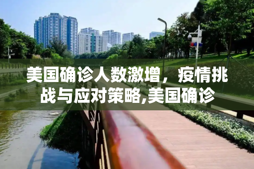 美国确诊人数激增，疫情挑战与应对策略,美国确诊