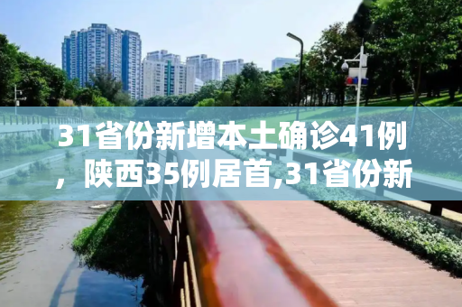 31省份新增本土确诊41例，陕西35例居首,31省份新增本土确诊41例陕西35例