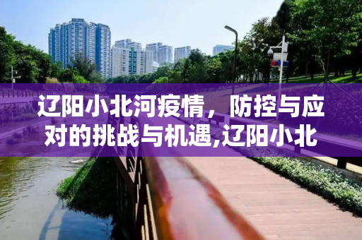 辽阳小北河疫情，防控与应对的挑战与机遇,辽阳小北河疫情