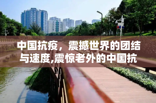 中国抗疫，震撼世界的团结与速度,震惊老外的中国抗疫故事