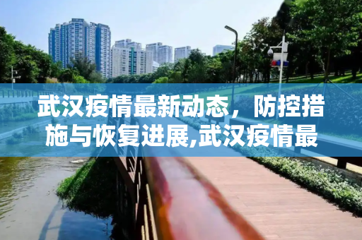 武汉疫情最新动态，防控措施与恢复进展,武汉疫情最新的消息