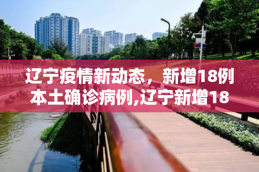辽宁疫情新动态，新增18例本土确诊病例,辽宁新增18例本土确诊病例