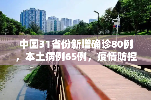 中国31省份新增确诊80例，本土病例65例，疫情防控形势依然严峻,31省份新增确诊80例本土65例