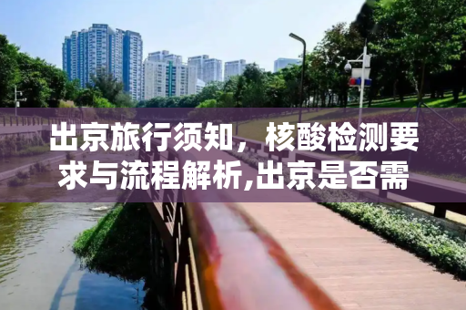 出京旅行须知，核酸检测要求与流程解析,出京是否需要核酸检测