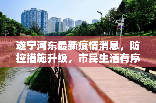 遂宁河东最新疫情消息，防控措施升级，市民生活有序,遂宁河东最新疫情消息