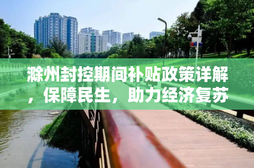 滁州封控期间补贴政策详解，保障民生，助力经济复苏,滁州封控期间补贴政策详解