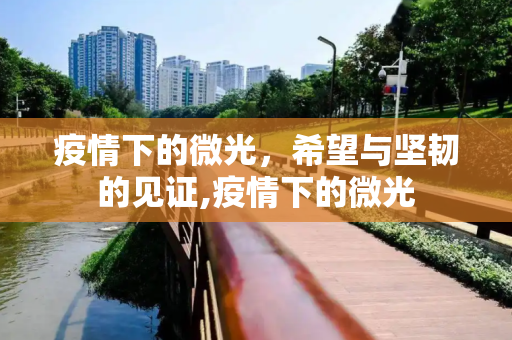 疫情下的微光，希望与坚韧的见证,疫情下的微光