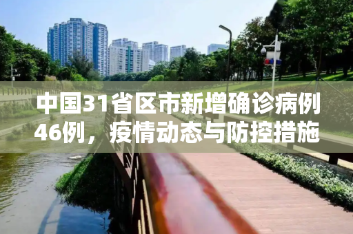 中国31省区市新增确诊病例46例，疫情动态与防控措施,31省区市新增确诊病例46例
