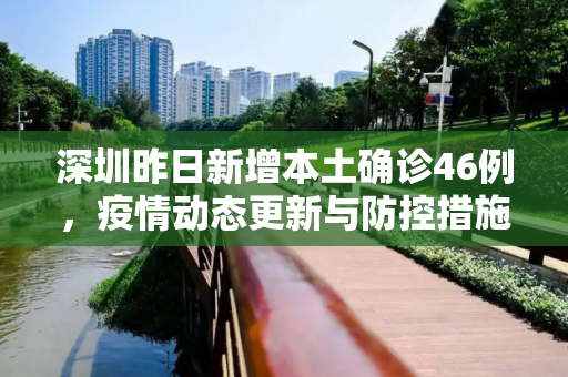 深圳昨日新增本土确诊46例，疫情动态更新与防控措施,深圳昨日新增本土确诊46例