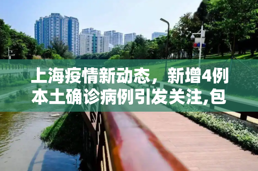 上海疫情新动态，新增4例本土确诊病例引发关注,包含上海新增4例本土确诊病例的词条