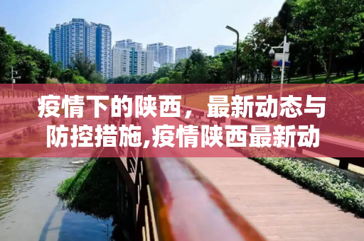 疫情下的陕西，最新动态与防控措施,疫情陕西最新动态