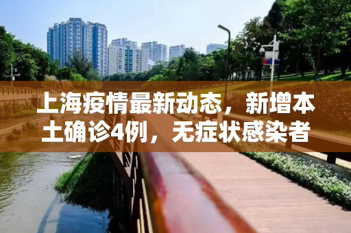 上海疫情最新动态，新增本土确诊4例，无症状感染者8例,上海新增本土确诊4例无症状8例