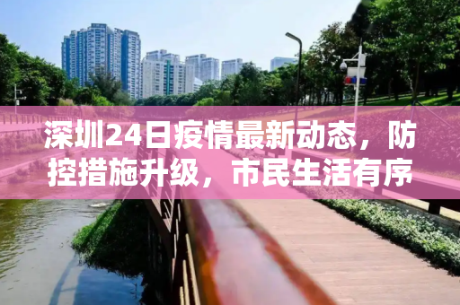 深圳24日疫情最新动态，防控措施升级，市民生活有序,深圳24日疫情消息最新