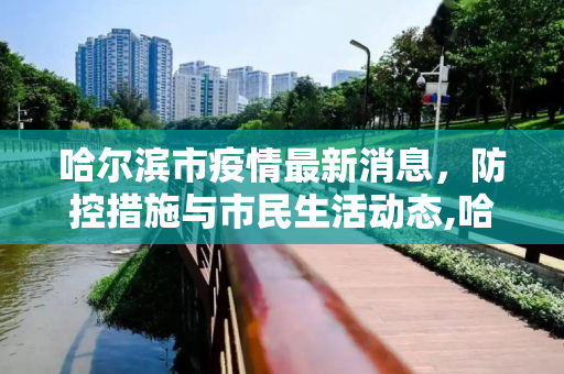 哈尔滨市疫情最新消息，防控措施与市民生活动态,哈尔滨市疫情最新消息