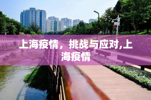 上海疫情，挑战与应对,上海疫情