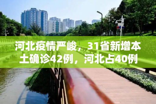 河北疫情严峻，31省新增本土确诊42例，河北占40例,31省新增本土确诊42例:河北40例