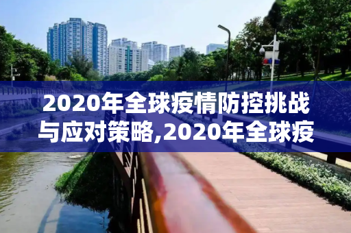 2020年全球疫情防控挑战与应对策略,2020年全球疫情防控挑战与应对策略