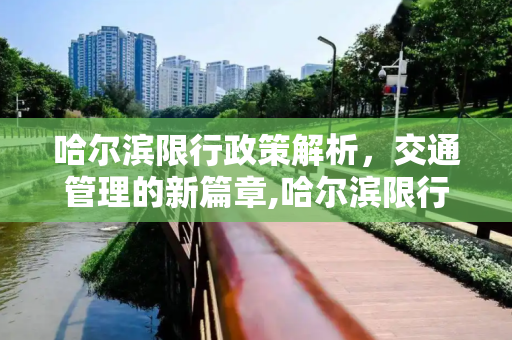 哈尔滨限行政策解析，交通管理的新篇章,哈尔滨限行