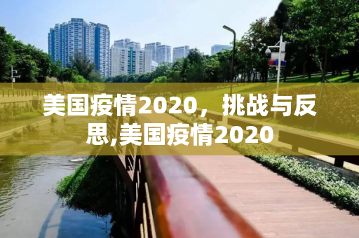 美国疫情2020，挑战与反思,美国疫情2020