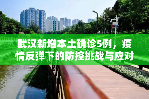 武汉新增本土确诊5例，疫情反弹下的防控挑战与应对,武汉新增本土确诊5例
