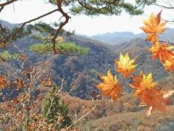 春节高速免费通行时间解析,春节高速免费是什么时间